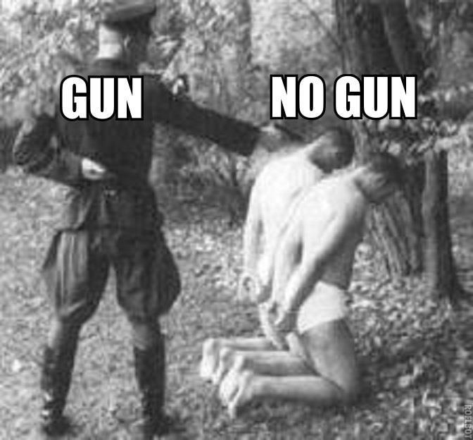 nazi guns